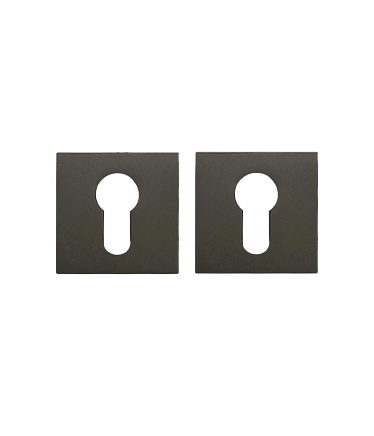 Накладки на ключевой цилиндр Накладка под цилиндр TRODOS на квадратном основании ET 03-AYE11 GF 